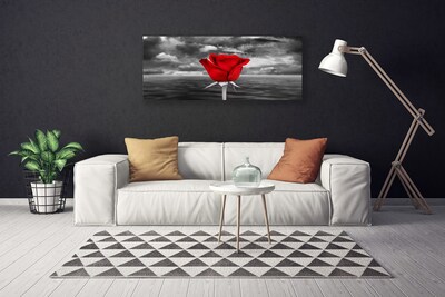 Cuadro en lienzo Rosa flor planta mar