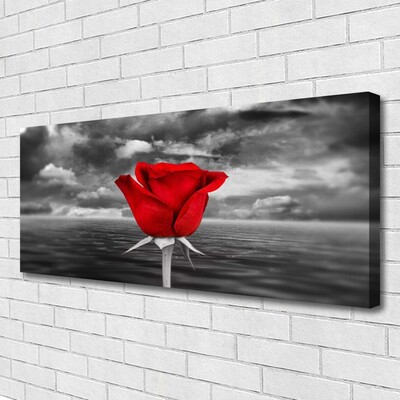 Cuadro en lienzo Rosa flor planta mar