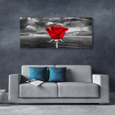 Cuadro en lienzo Rosa flor planta mar