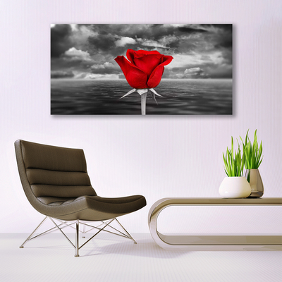 Cuadro en lienzo Rosa flor planta mar