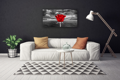 Cuadro en lienzo Rosa flor planta mar