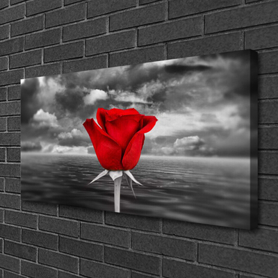 Cuadro en lienzo Rosa flor planta mar