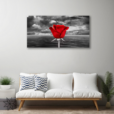 Cuadro en lienzo Rosa flor planta mar