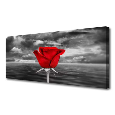 Cuadro en lienzo Rosa flor planta mar