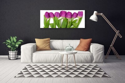 Cuadro en lienzo Tulipanes flores planta