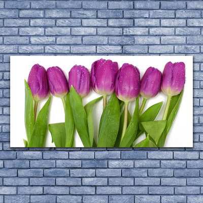 Cuadro en lienzo Tulipanes flores planta
