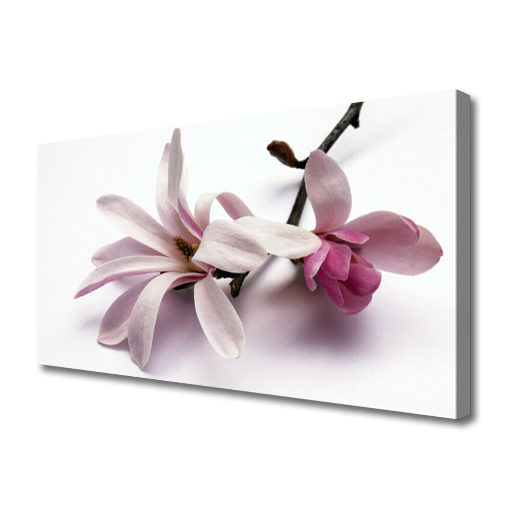 Cuadro en lienzo Flor planta naturaleza