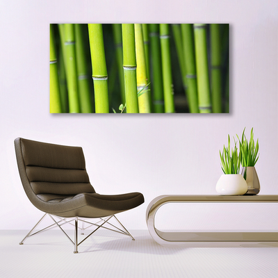 Cuadro en lienzo Bambú naturaleza planta