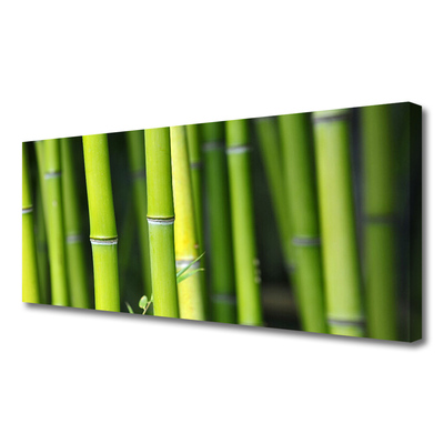 Cuadro en lienzo Bambú naturaleza planta