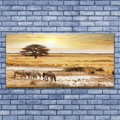 Cuadro en lienzo Cebras safari paisaje