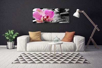 Cuadro en lienzo Flor piedras orquídea