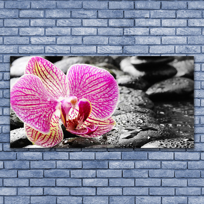 Cuadro en lienzo Flor piedras orquídea