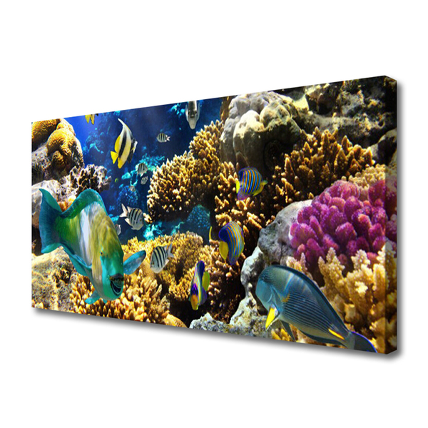 Cuadro en lienzo Arrecife naturaleza