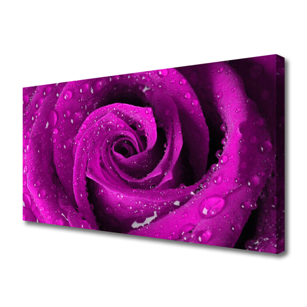 Cuadro en lienzo Rosa flor planta naturaleza