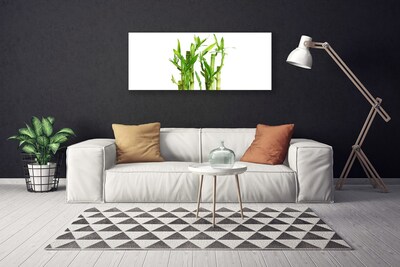 Cuadro en lienzo Bambú tallo flor planta