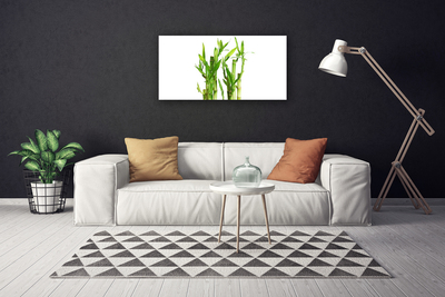 Cuadro en lienzo Bambú tallo flor planta