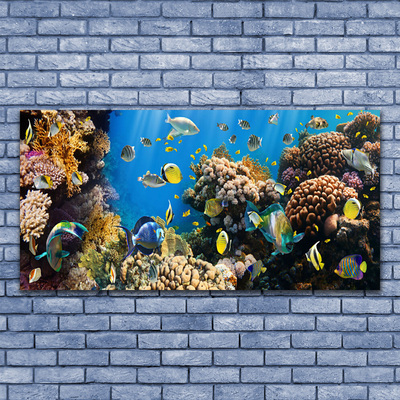 Cuadro en lienzo Arrecife naturaleza