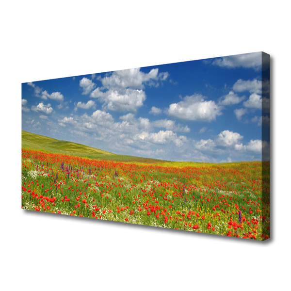 Cuadro en lienzo Prado flores paisaje