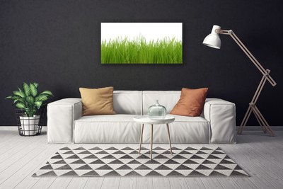 Cuadro en lienzo canvas Hierba planta naturaleza