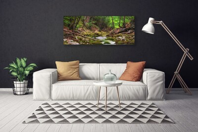 Cuadro en lienzo canvas Bosque musgo naturaleza