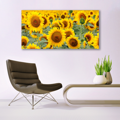 Cuadro en lienzo canvas Girasoles planta naturaleza