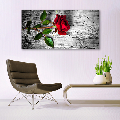 Cuadro en lienzo canvas Rosa flor planta naturaleza