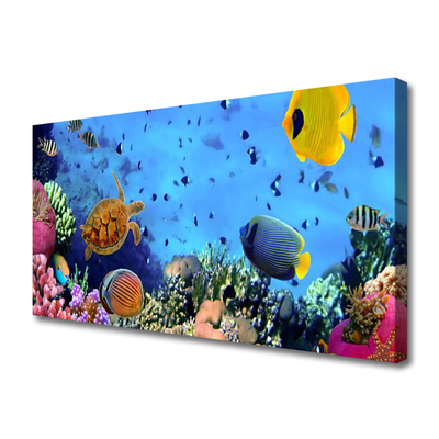 Cuadro en lienzo canvas Arrecife naturaleza