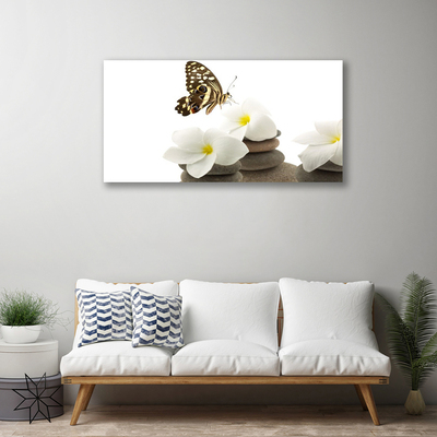 Cuadro en lienzo canvas Mariposa flor piedras planta