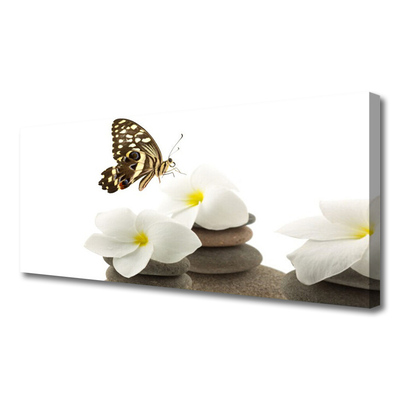 Cuadro en lienzo canvas Mariposa flor piedras planta
