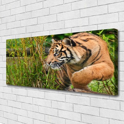 Cuadro en lienzo canvas Tigre animales