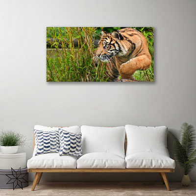 Cuadro en lienzo canvas Tigre animales