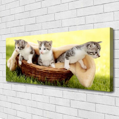 Cuadro en lienzo canvas Gatos animales