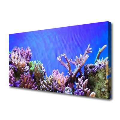 Cuadro en lienzo canvas Arrecife naturaleza