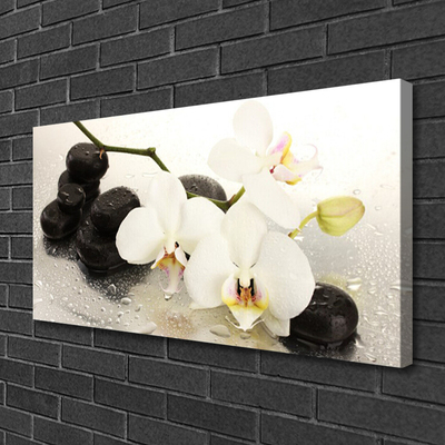Cuadro en lienzo canvas Flor preciosa orquídea