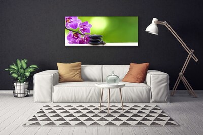 Cuadro en lienzo canvas Orquideas verde flores