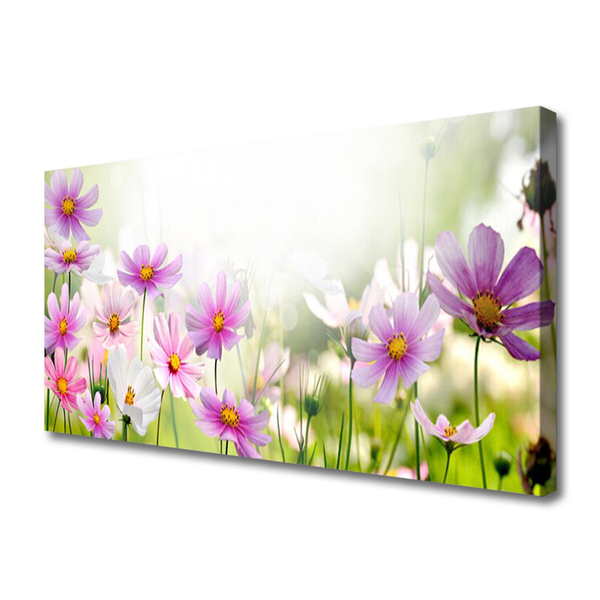 Cuadro en lienzo canvas Flores planta naturaleza