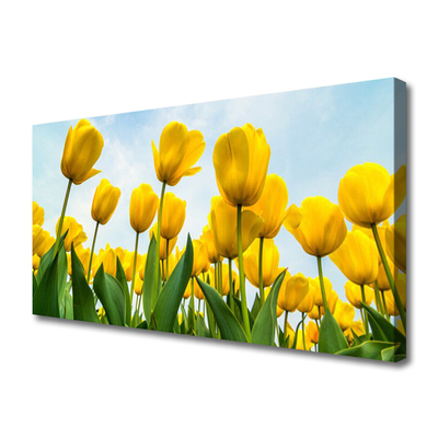 Cuadro en lienzo canvas Tulipanes flores planta