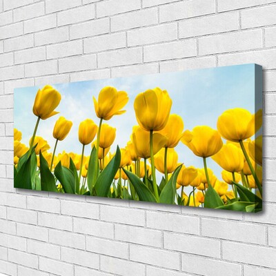 Cuadro en lienzo canvas Tulipanes flores planta