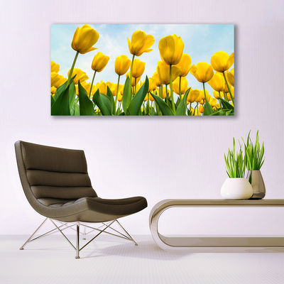 Cuadro en lienzo canvas Tulipanes flores planta