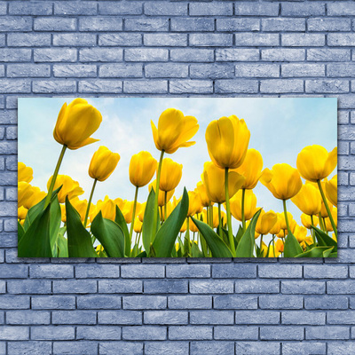 Cuadro en lienzo canvas Tulipanes flores planta