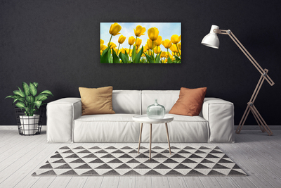 Cuadro en lienzo canvas Tulipanes flores planta