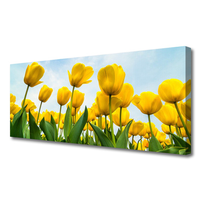 Cuadro en lienzo canvas Tulipanes flores planta