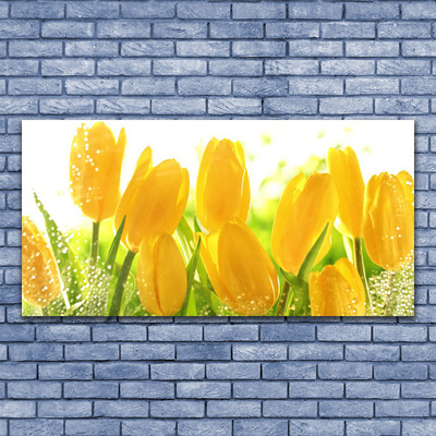 Cuadro en lienzo canvas Tulipanes flores planta