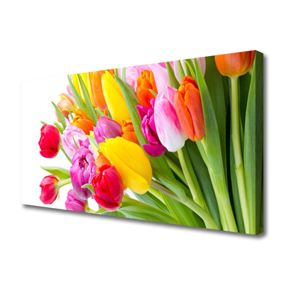 Cuadro en lienzo canvas Tulipanes flores planta