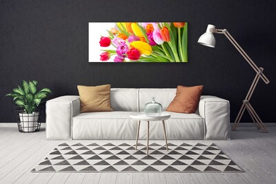 Cuadro en lienzo canvas Tulipanes flores planta