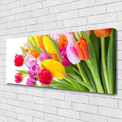 Cuadro en lienzo canvas Tulipanes flores planta