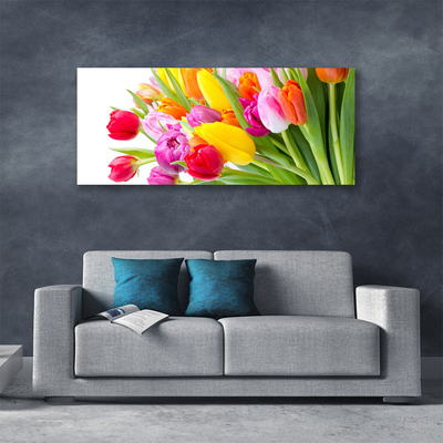 Cuadro en lienzo canvas Tulipanes flores planta