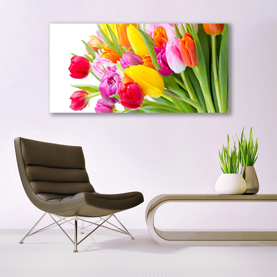 Cuadro en lienzo canvas Tulipanes flores planta