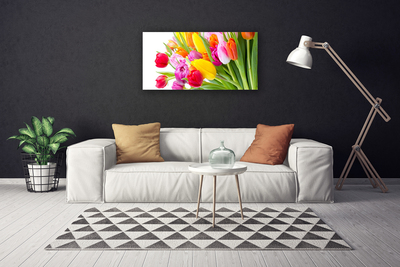 Cuadro en lienzo canvas Tulipanes flores planta