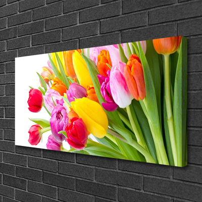 Cuadro en lienzo canvas Tulipanes flores planta